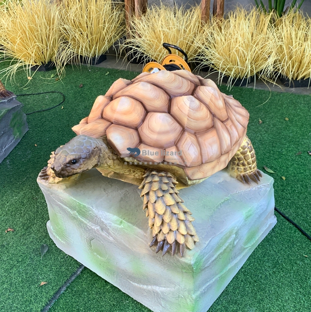 tortuga