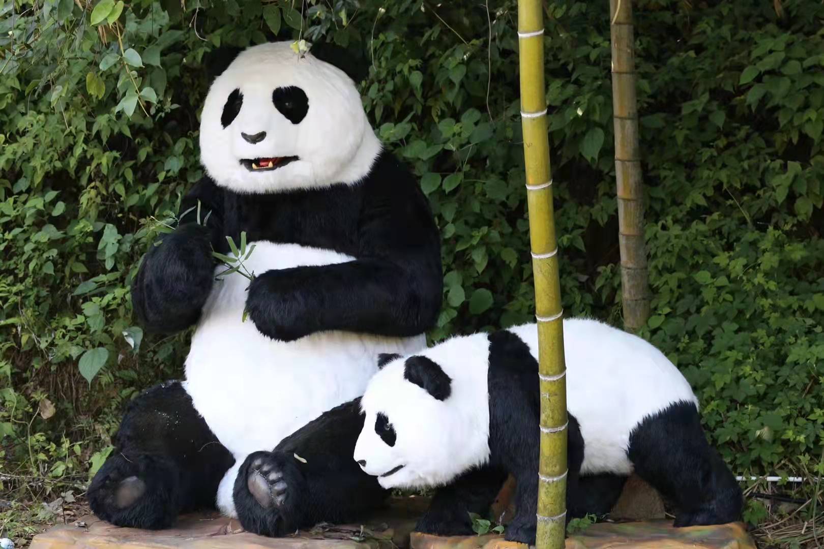 panda