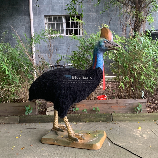 Southern Cassowary