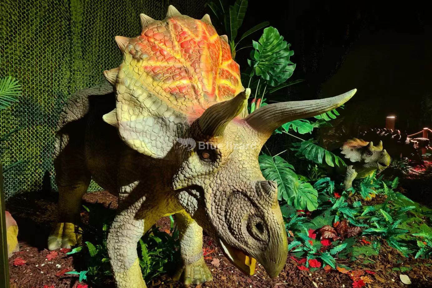 Triceratops